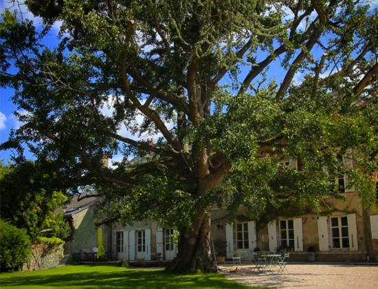 فندق Domaine Saint-Hilaire مانج سور لوار المظهر الخارجي الصورة