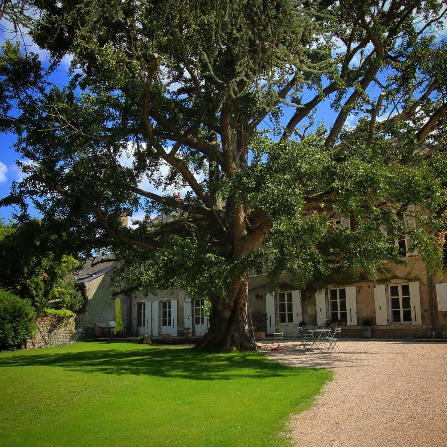 فندق Domaine Saint-Hilaire مانج سور لوار المظهر الخارجي الصورة